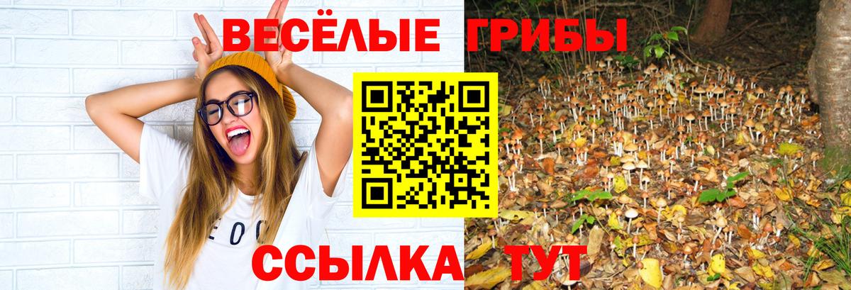 Псилоцибиновые грибы ЛСД  Вход с VPN  Лобня 
