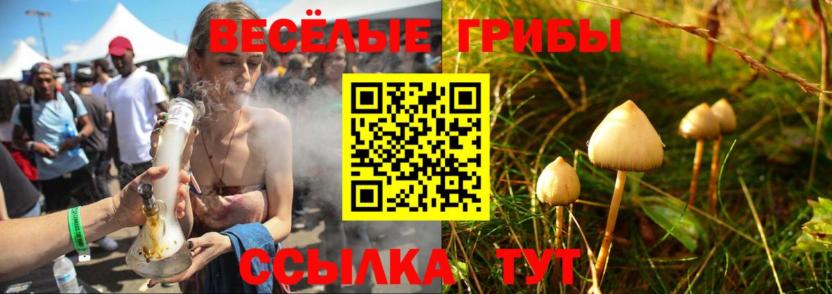 Галлюциногенные грибы Cubensis Лобня